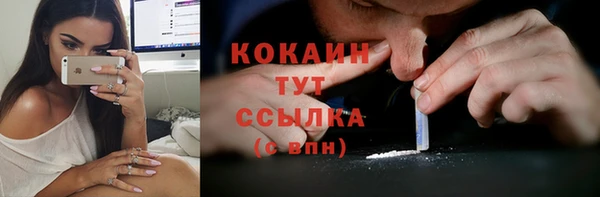 крисы Арсеньев