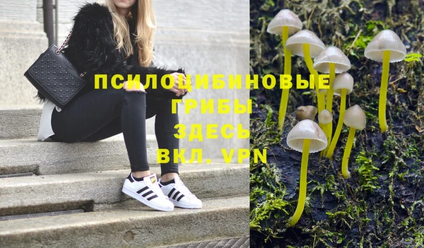 гидра Аркадак