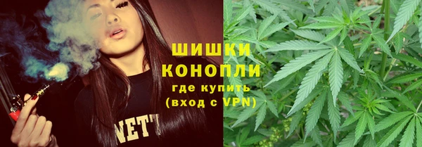 крисы Арсеньев